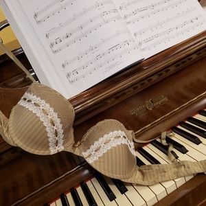 Gorgeous Blush lingerie bra